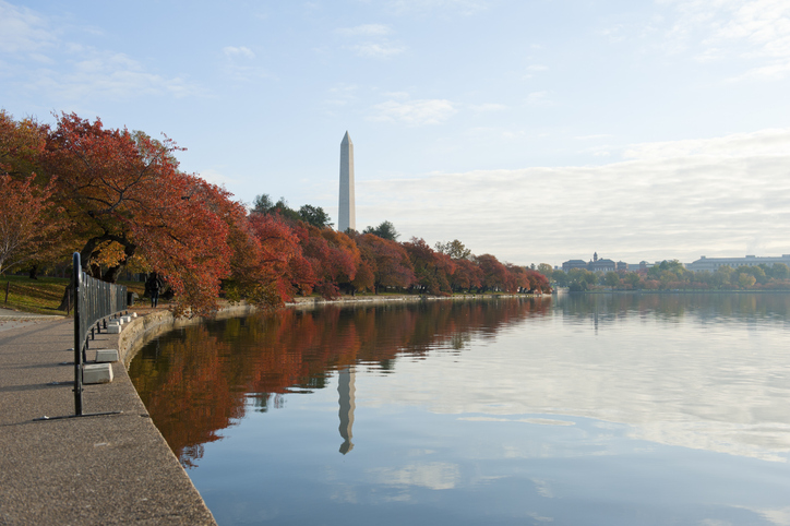 Photo of the Washington Tidal Basin.