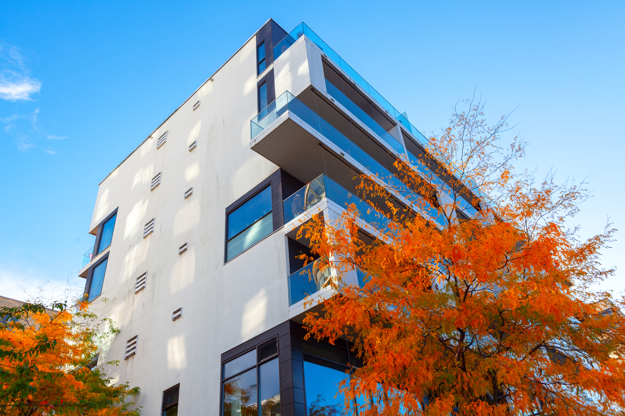 apartment building exterior with autumn tree