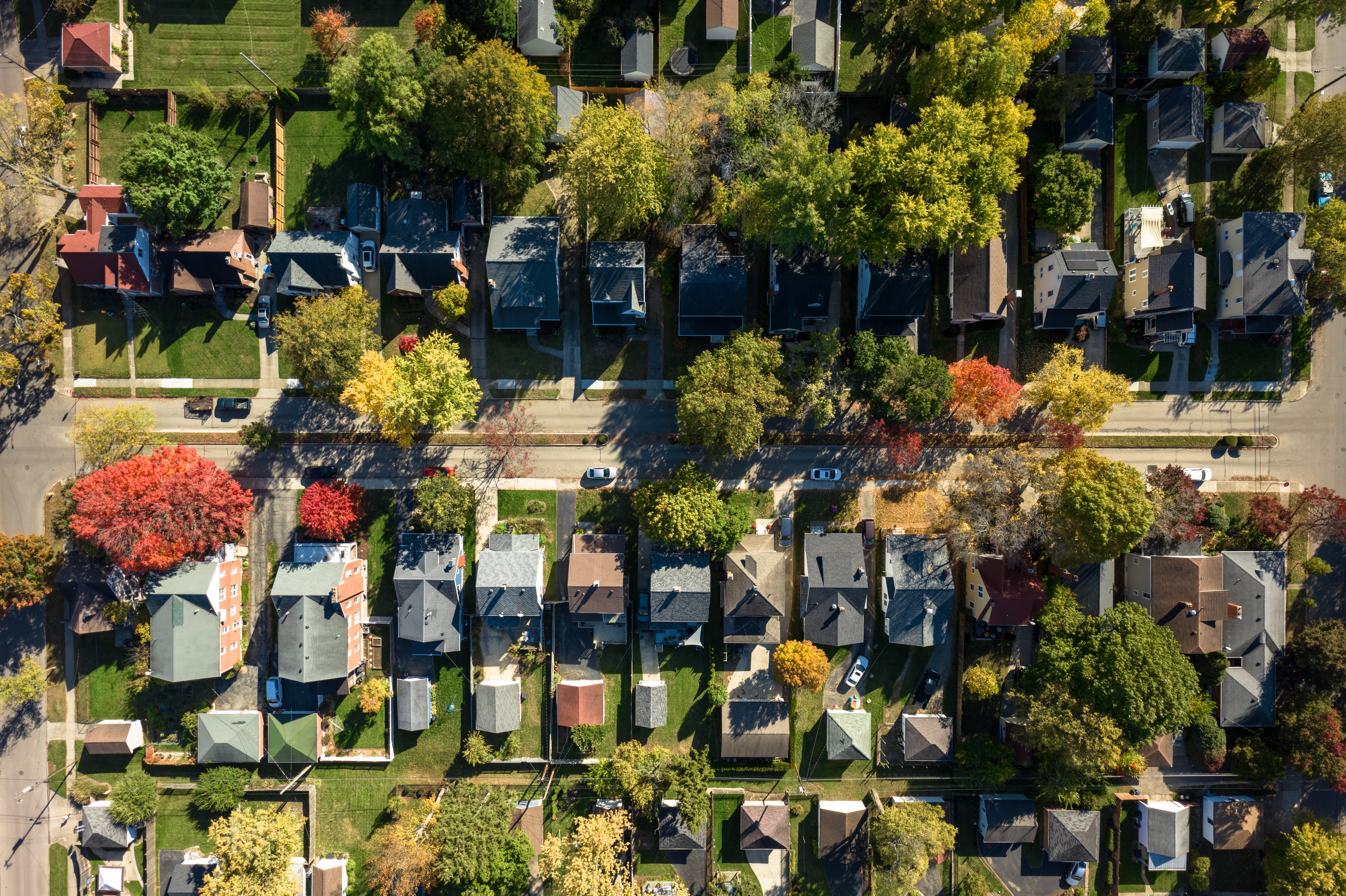 Houses 