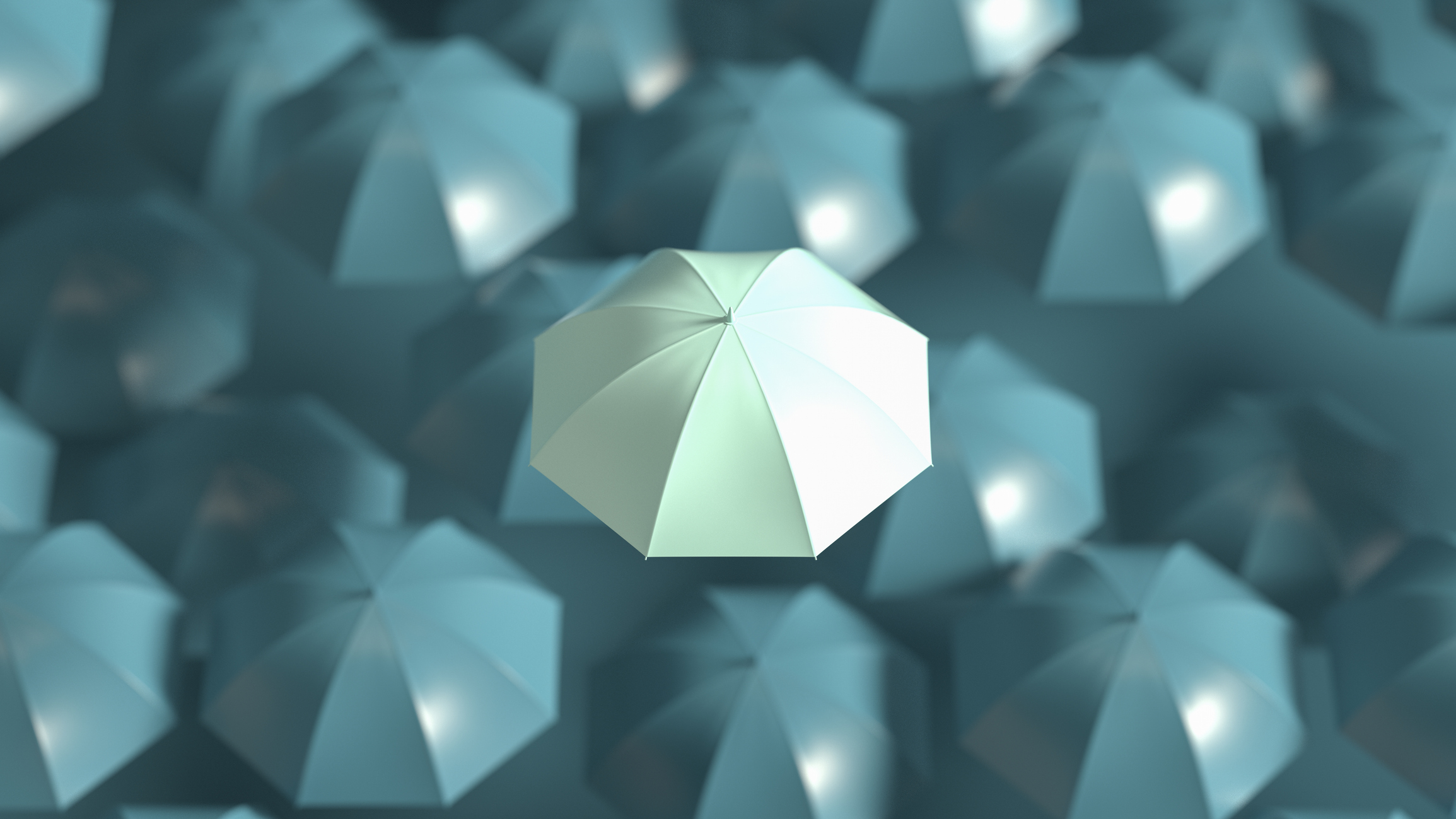 A picture of a highlighted umbrella amid other umbrellas