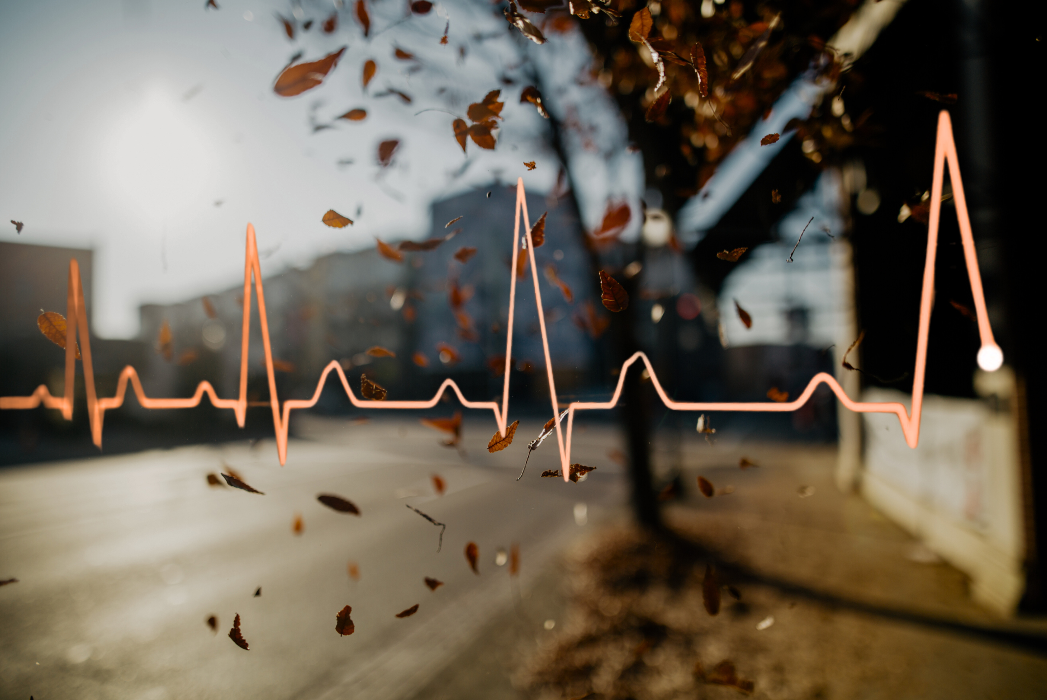 autumnal background with pulse graphic overlaid