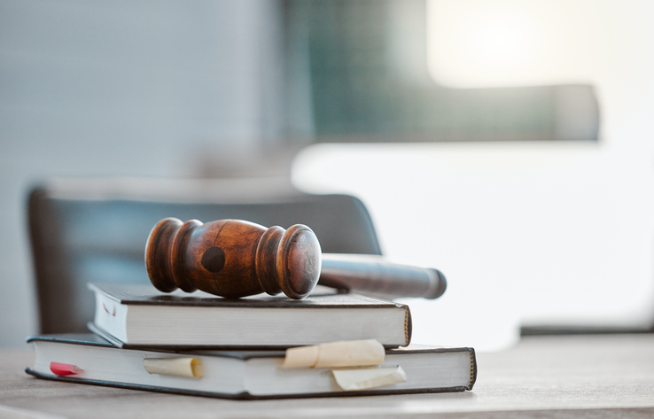 Photo of a gavel on top of law books.