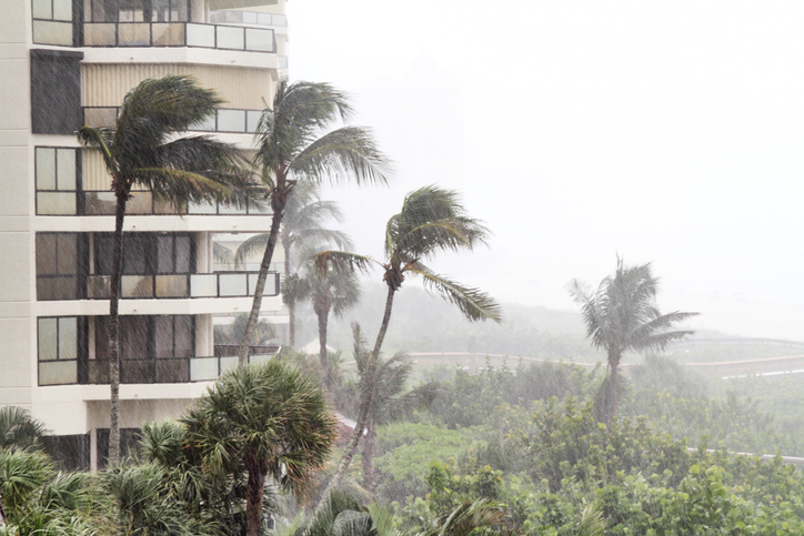 Weathering the Storm: Effective Hurricane Preparation and Restoration