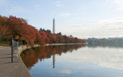 Photo of the Washington Tidal Basin.