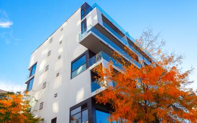 apartment building exterior with autumn tree