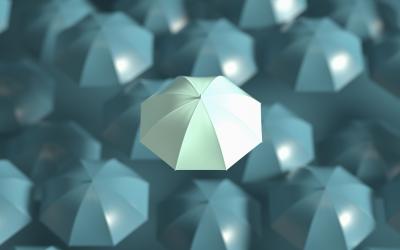 A picture of a highlighted umbrella amid other umbrellas
