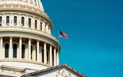Capitol in Washington, DC.