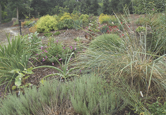 yard with landscaping