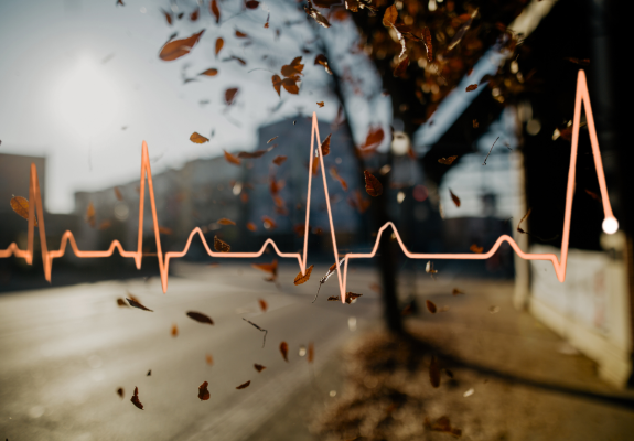 autumnal background with pulse graphic overlaid