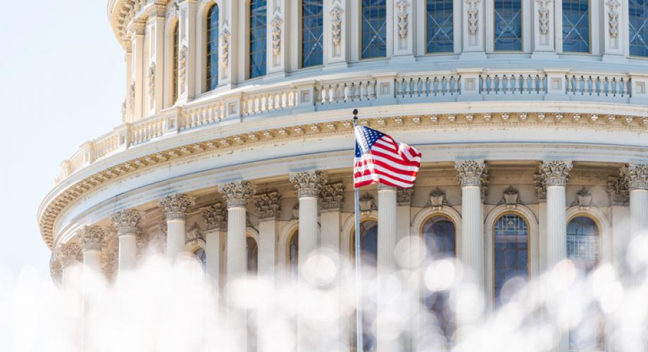 Photo of the U.S. Capitol with U.S. flag waving.
