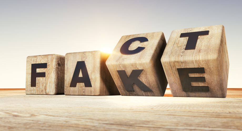graphic showing blocks in between saying "fact" and "fake"