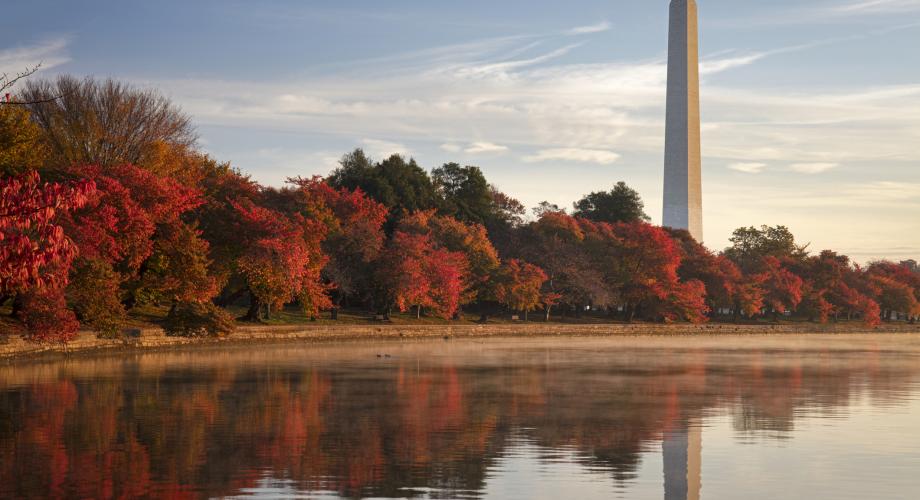 Photo of Washington, D.C. in the fall.