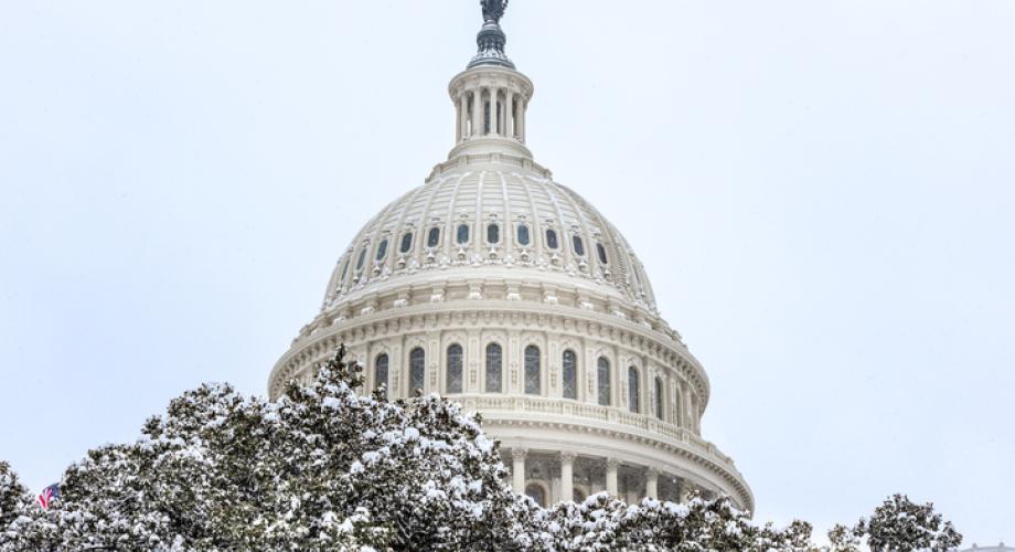 Photo of the U.S. Capitol in the snow.