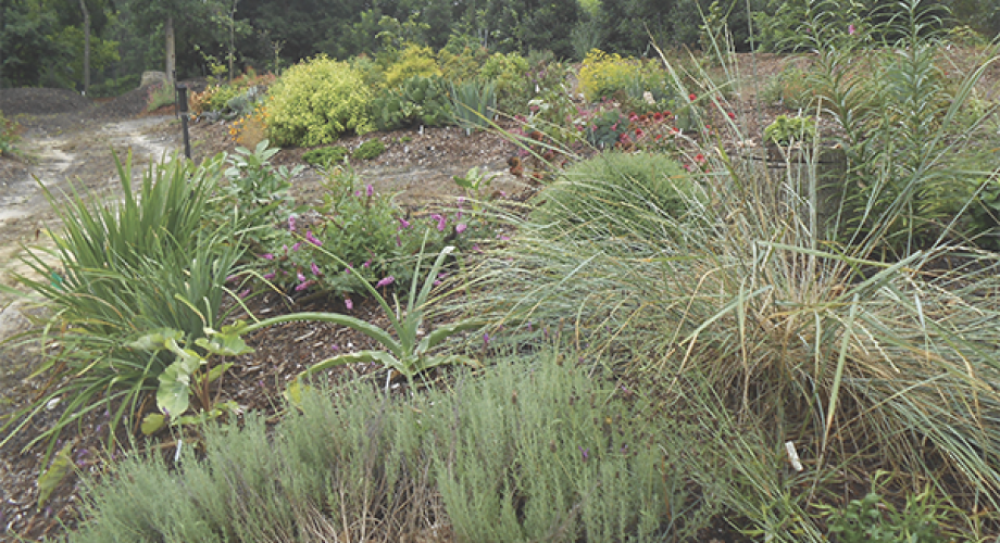 yard with landscaping