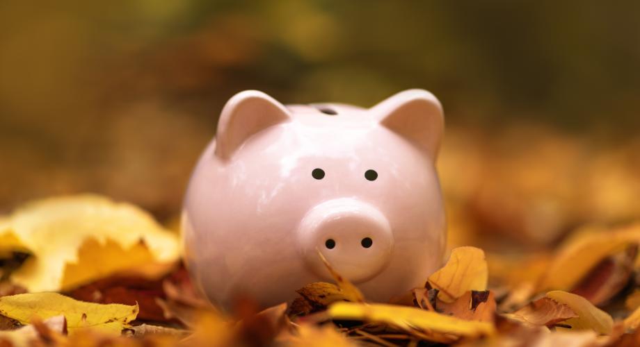 piggy bank on a pile of autumn leaves