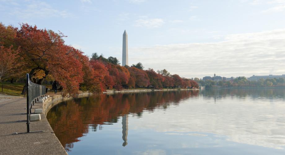 Photo of the Washington Tidal Basin.