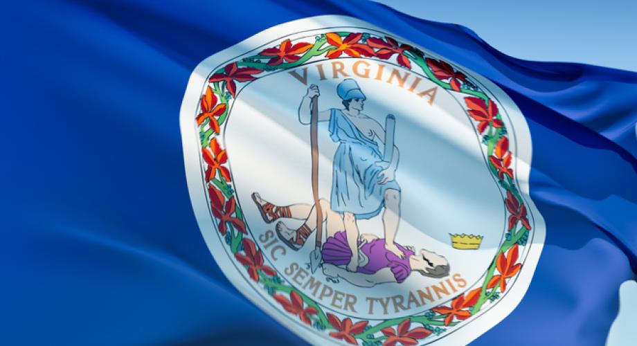 Photo of the Virginia state flag.