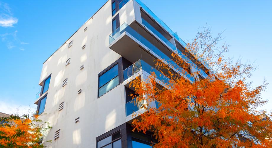 apartment building exterior with autumn tree