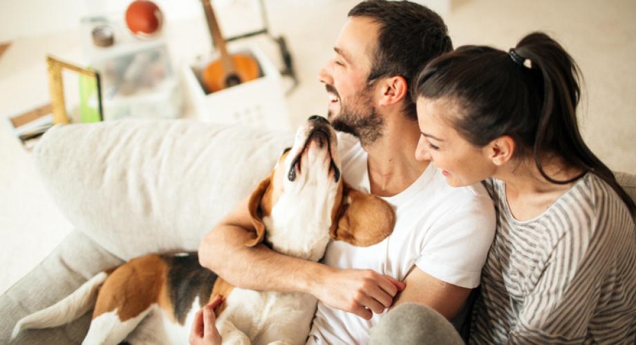 Pet-friendliness trends in rental housing.