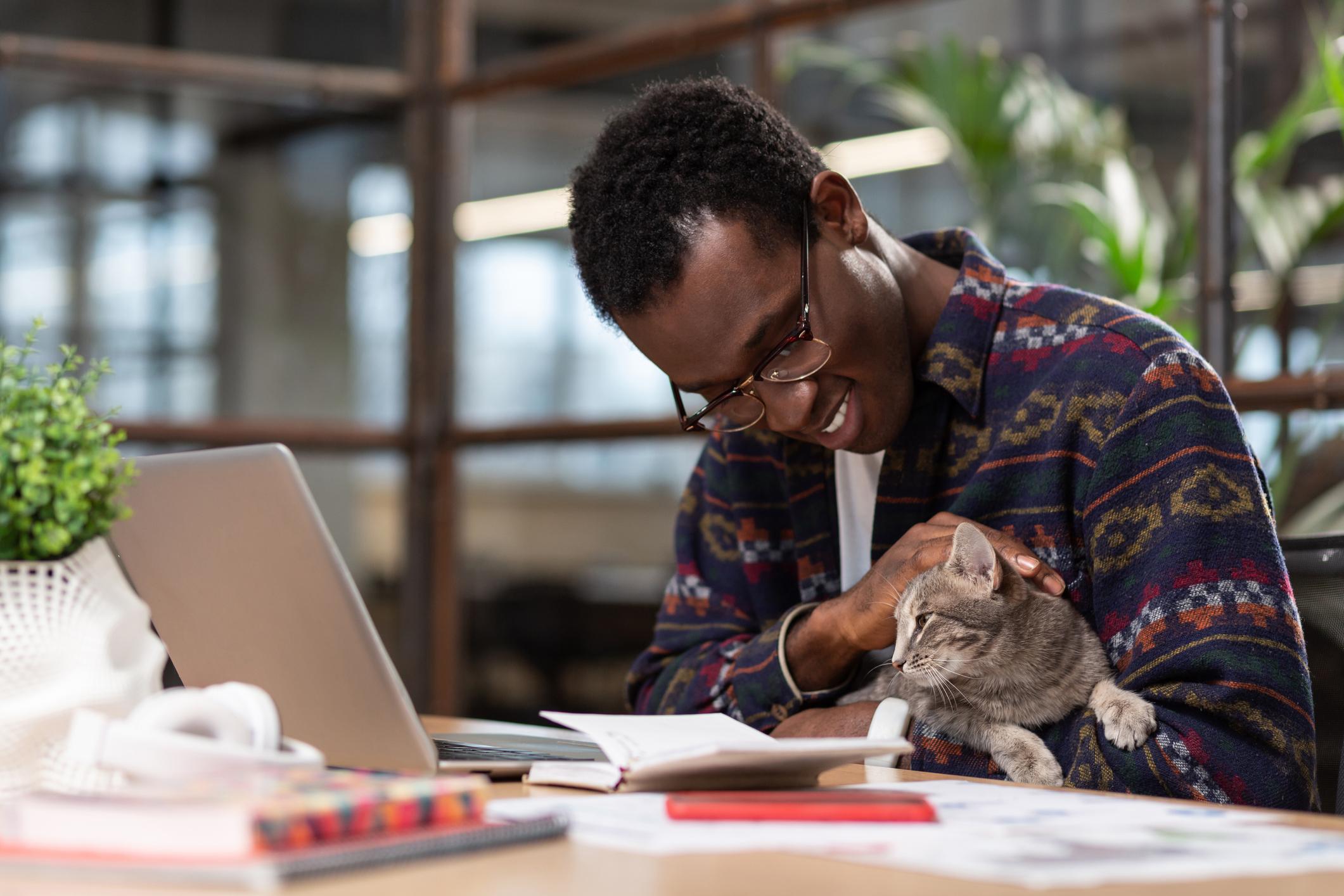 man working on laptop with cat in his lap