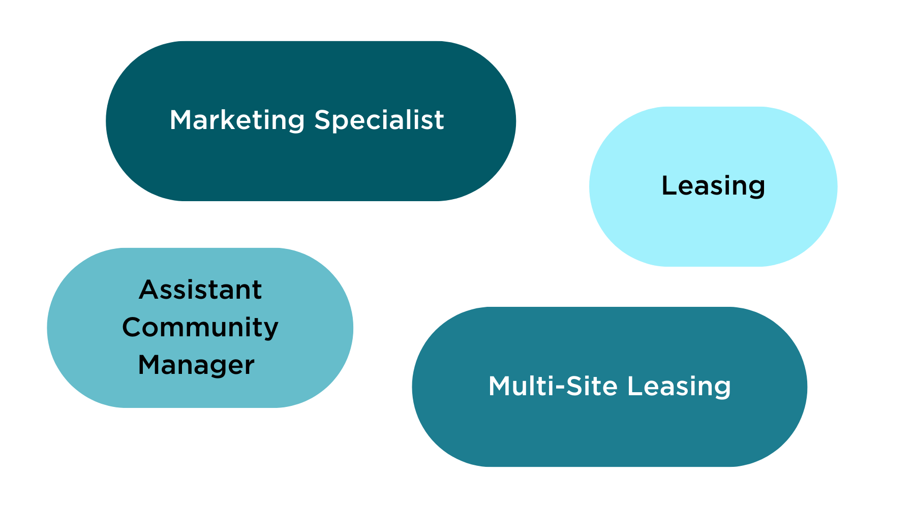 bubbles with the following text overlaid: "marketing specialist, leasing, assistant community manager, multi-site leasing"