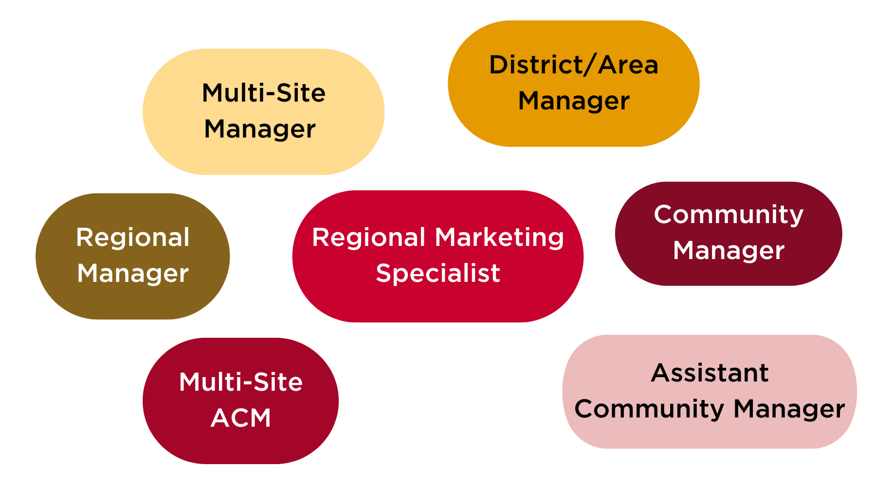 bubbles with the following text overlaid: "multi-site manager, district/area manager, regional manager, regional marketing specialist, community manager, multi-site ACM, assistant community manager"